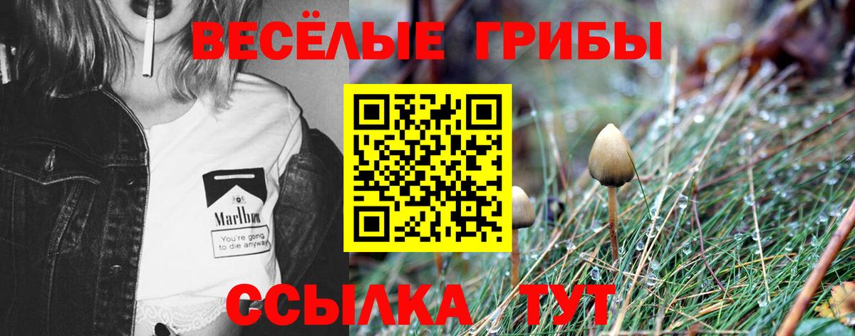 цена   Псилоцибиновые грибы мицелий  Сланцы  Вход с VPN  Галлюциногенные грибы MAGIC MUSHROOMS 